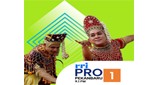 RRI Pro 1 - Pekanbaru