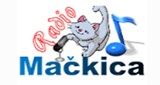 Radio Mackica - Narodna Muzika