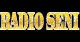 Radio Seni