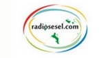 Radiosesel