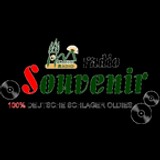 Schwany Souvenir Radio