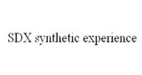 SDX Synthetic Experience