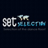SetSelection