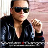 silvestredangond.com