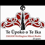 Te Upoko O Te Ika