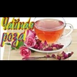 Tea rose