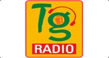 Telangana Radio