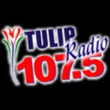 Tulip Radio