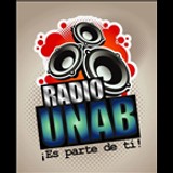 UNAB Radio San Miguel