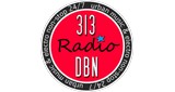 313 DBN Radio