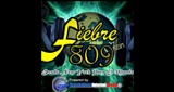 Fiebre 809 HD