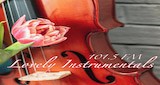 Lovely Instrumentals 101.5 FM