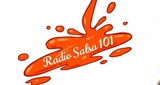 Radio Salsa 101