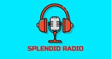 Splendid Radio Hawaii