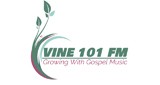 Vine 101 Fm