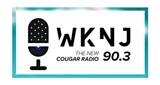 WKNJ 90.3 FM