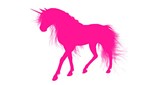 Pink Unicorn Radio