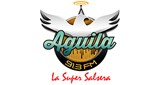 Aguila 91.3 Fm