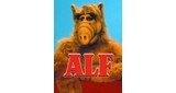 ALF 24 horas