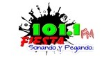 Fiesta 101.1 Fm