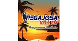 pegajosa 103.5