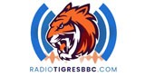 Radio Tigres Broadcast Baseball Channel