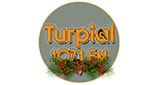 Turpial