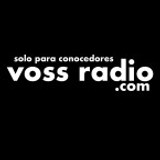 Voss Radio