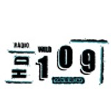 WILD 109 HOLLYWOOD