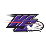 Winston-Salem Dash Baseball Network