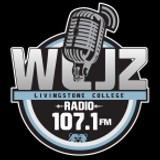 WLJZ 107.1 FM