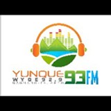 Yunque 93