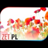 ZET PL