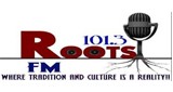 Roots FM 101.3